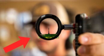 A Good Sight for A Compound Bow: Know your options