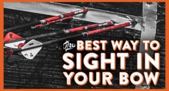 Tips For Sighting in a Compound Bow for Beginners